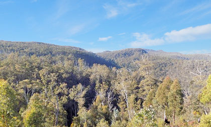 Search Real Estate And Houses For Sale In Black Hills Tas Homesales